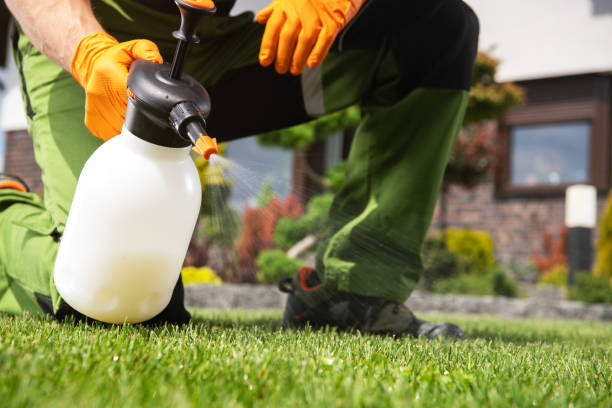 Best Wasp Removal Services  in Winthrop, MN