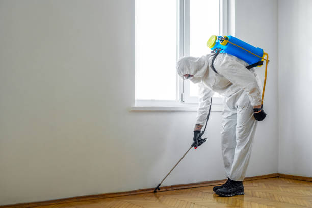Best Pest Prevention Services  in Winthrop, MN