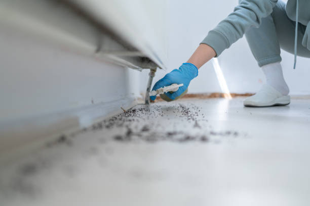 Best Local Pest Control Services  in Winthrop, MN