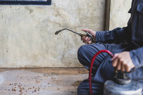 Best Rat Extermination Near Me  in Winthrop, MN